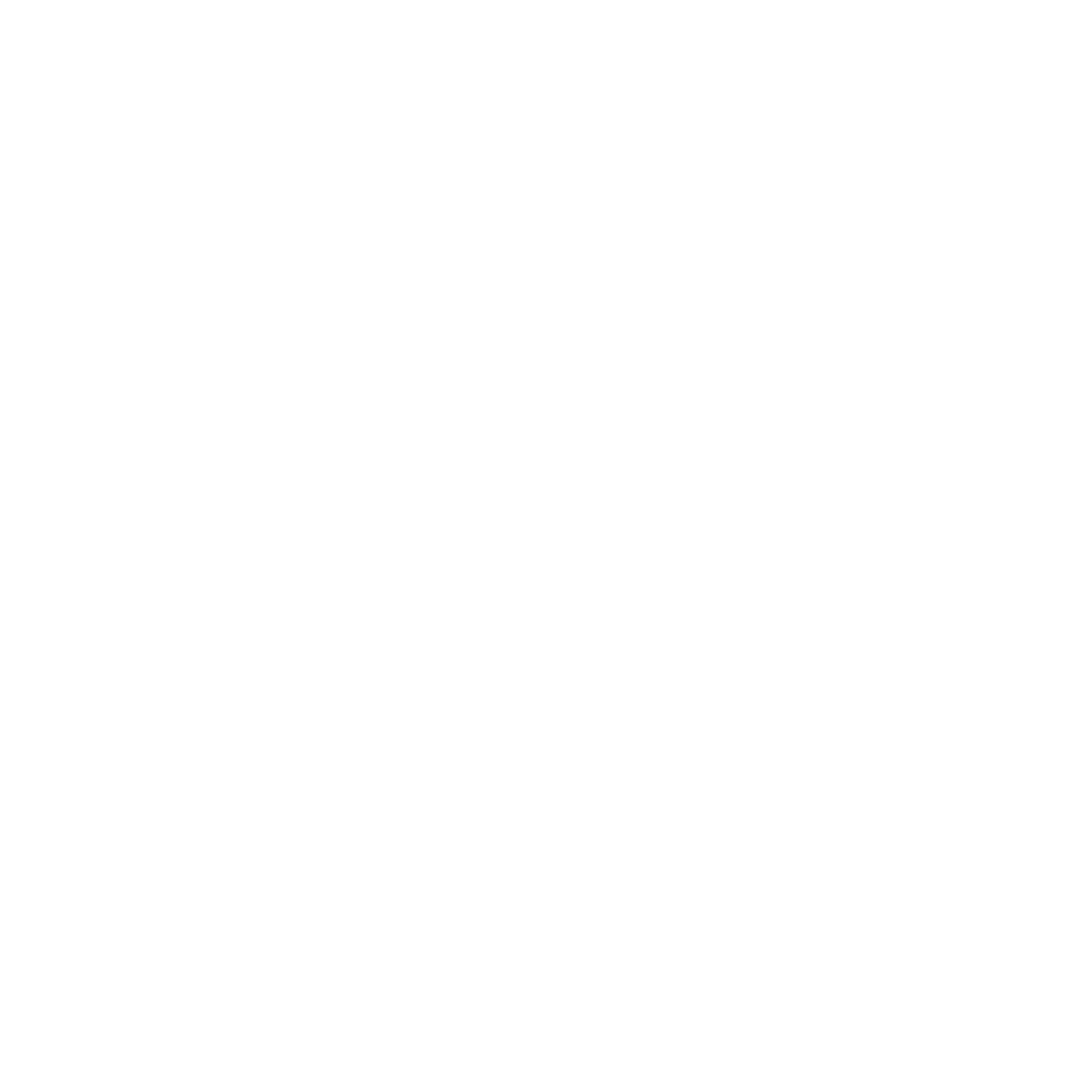 logo-thierry-vide-biglight-luxembourg